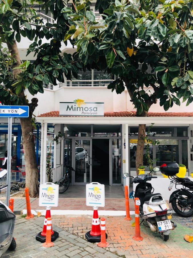 Mimosa Pension Kaş Exterior foto